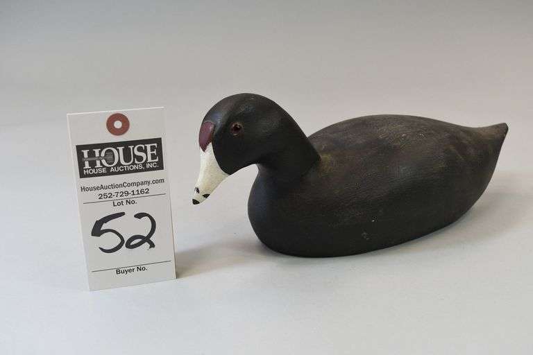Coot by Roy White, Knotts Island, NC.