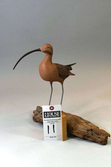 Curlew on driftwood by Homer Fulcher, Stacy, NC