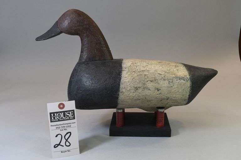Canvasback, drake with Frank Finney, Capeville, VA re-head.