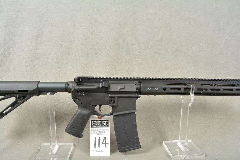 PALMETTO STATE ARMORY Model PA-15 Rifle, cal. 5.56 mm, AR Style, Semi-Auto, collapsible stock, picatinny rail top of receiver, 16" barrel, mint condition, Ser #SCD036733 image