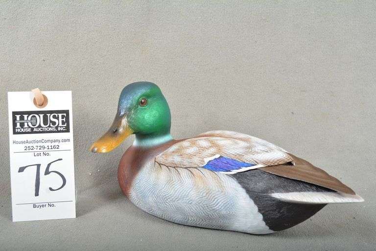 Mallard drake by Tricia Veasey image