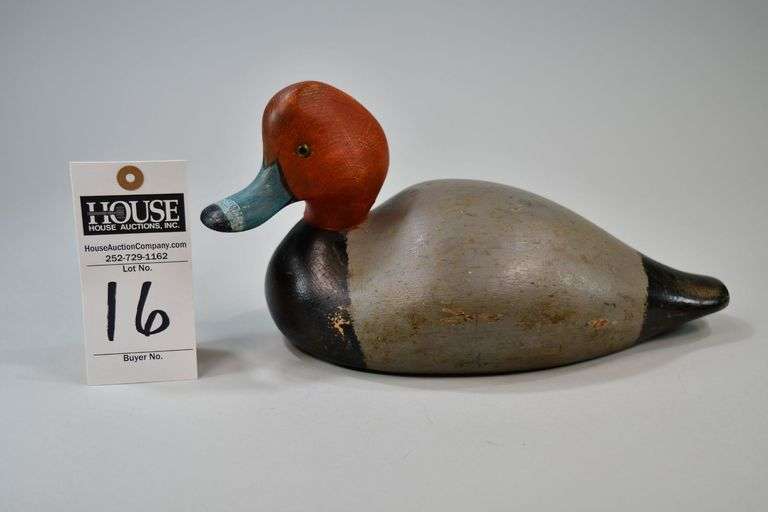 Redhead, drake, Carver: unknown image