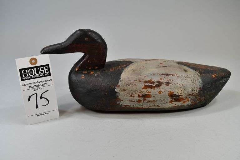 Scaup, drake, Carver: Unknown image