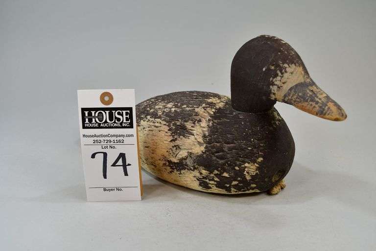 Scaup, hen, Carver: Wildfowlers or Animal Trap factory image