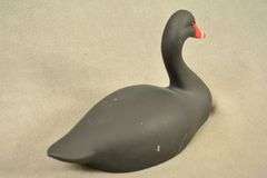 Rare Walter "Brother" Gaskill Black Swan, half-size signed by the maker, dated 2019. Inscribed on the bottom: WALTER "BROTHER" GASKILL, 2019, BLACK SWAN. One of the very few Black Swan decoys made by Brother Gaskill.