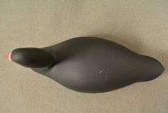 Rare Walter "Brother" Gaskill Black Swan, half-size signed by the maker, dated 2019. Inscribed on the bottom: WALTER "BROTHER" GASKILL, 2019, BLACK SWAN. One of the very few Black Swan decoys made by Brother Gaskill.