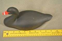 Rare Walter "Brother" Gaskill Black Swan, half-size signed by the maker, dated 2019. Inscribed on the bottom: WALTER "BROTHER" GASKILL, 2019, BLACK SWAN. One of the very few Black Swan decoys made by Brother Gaskill.