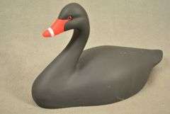 Rare Walter "Brother" Gaskill Black Swan, half-size signed by the maker, dated 2019. Inscribed on the bottom: WALTER "BROTHER" GASKILL, 2019, BLACK SWAN. One of the very few Black Swan decoys made by Brother Gaskill.