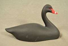 Rare Walter "Brother" Gaskill Black Swan, half-size signed by the maker, dated 2019. Inscribed on the bottom: WALTER "BROTHER" GASKILL, 2019, BLACK SWAN. One of the very few Black Swan decoys made by Brother Gaskill.