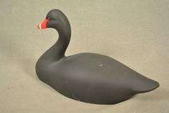 Rare Walter "Brother" Gaskill Black Swan, half-size signed by the maker, dated 2019. Inscribed on the bottom: WALTER "BROTHER" GASKILL, 2019, BLACK SWAN. One of the very few Black Swan decoys made by Brother Gaskill.