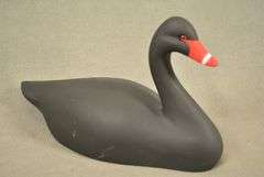 Rare Walter "Brother" Gaskill Black Swan, half-size signed by the maker, dated 2019. Inscribed on the bottom: WALTER "BROTHER" GASKILL, 2019, BLACK SWAN. One of the very few Black Swan decoys made by Brother Gaskill.