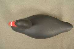 Rare Walter "Brother" Gaskill Black Swan, half-size signed by the maker, dated 2019. Inscribed on the bottom: WALTER "BROTHER" GASKILL, 2019, BLACK SWAN. One of the very few Black Swan decoys made by Brother Gaskill.