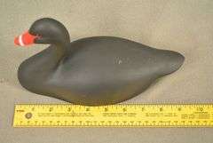 Rare Walter "Brother" Gaskill Black Swan, half-size signed by the maker, dated 2019. Inscribed on the bottom: WALTER "BROTHER" GASKILL, 2019, BLACK SWAN. One of the very few Black Swan decoys made by Brother Gaskill.