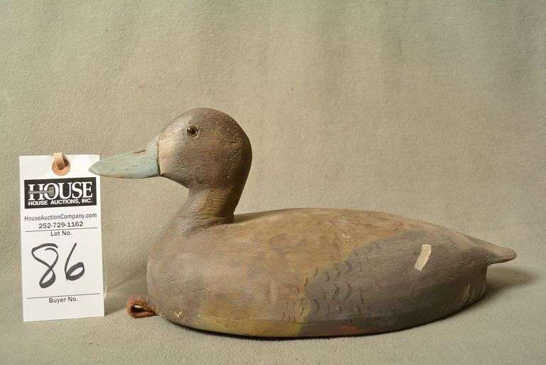 Scaup Hen by Richard Severns, Oregon image