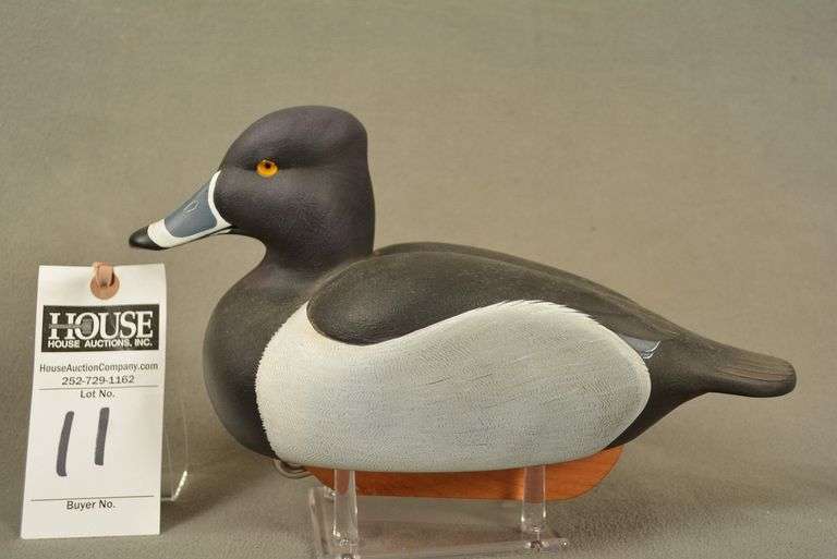 Ringneck Drake by Brother Gaskill image