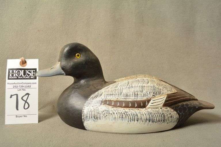 Scaup Drake by Norman Hancock image