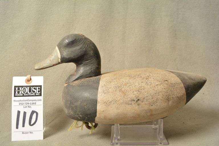 Scaup Drake by Holton Legg, Kent Island, MD image