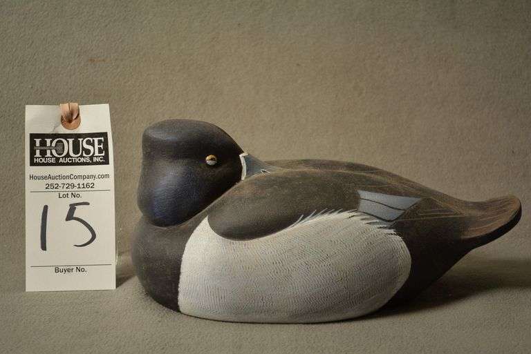 Ringneck Drake by Brother Gaskill image