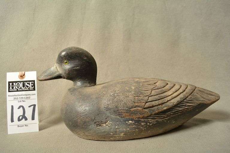 Scaup Hen by Robert Paqauette, Quebec, Canada image