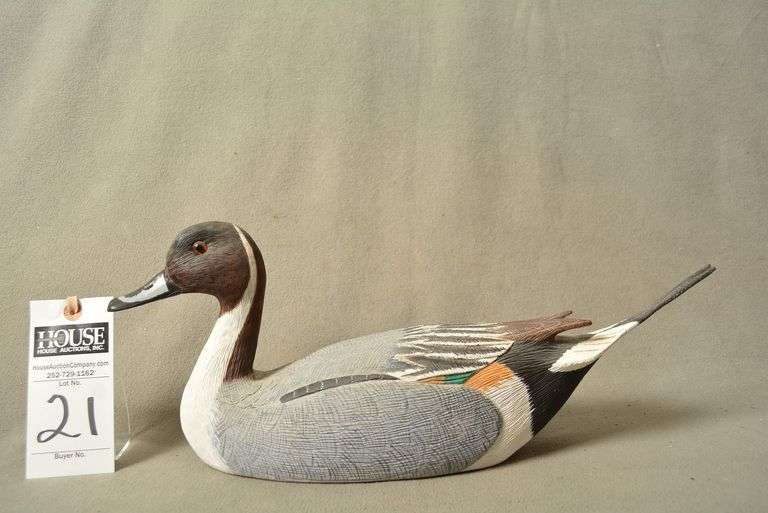 Pintail Drake by Norman Hancock image