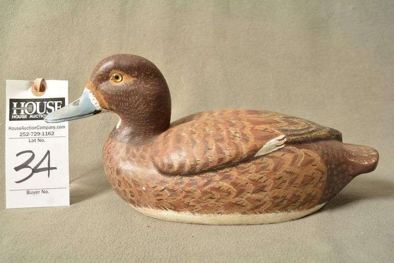 Scaup Hen by Lionel Gilgo image