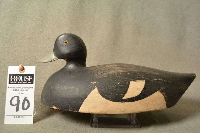 Scaup Drake by Daniel Tushenke image