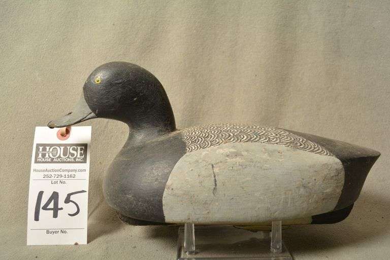 Scaup Drake by JM Buckland, Webb Island, VA image