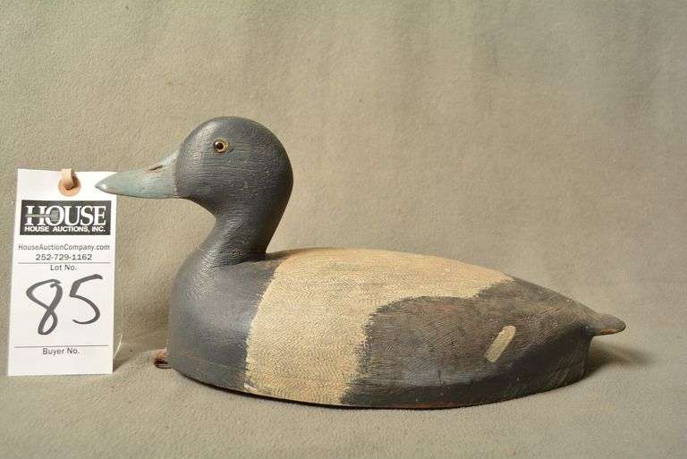 Scaup Drake by Richard Severns, Oregon image
