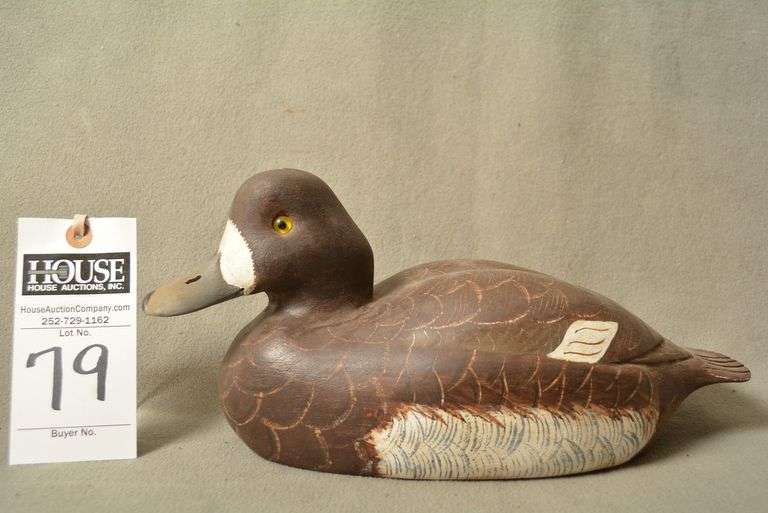 Scaup Hen by Norman Hancock image
