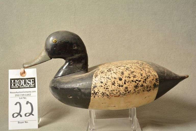 Scaup Drake by unknown maker image