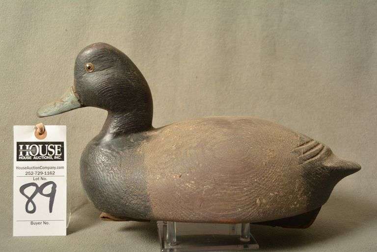 Scaup Drake by Hank Walters, Bayshore NY image
