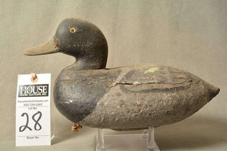 Scaup Drake by John Graham image