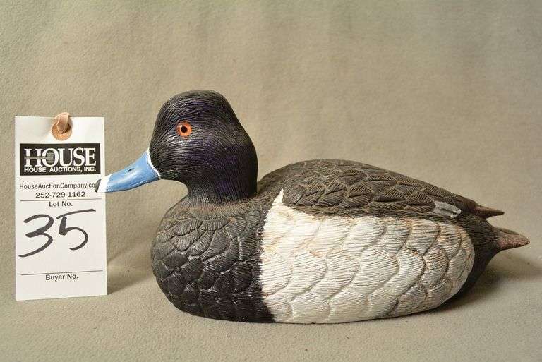 Ringneck Drake by Norman Hancock image