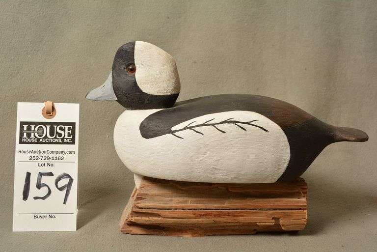 Bufflehead Drake by N.P.H. image