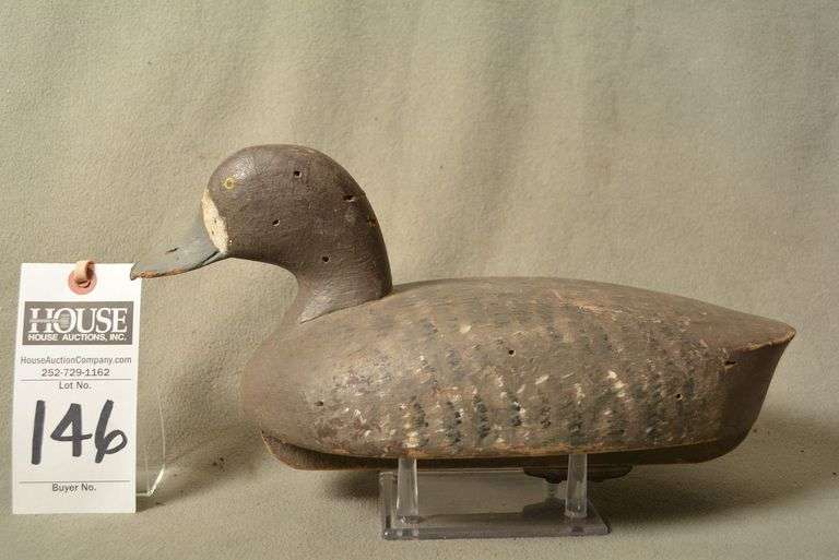 Scaup Hen by JM Buckland, Webb Island, VA image