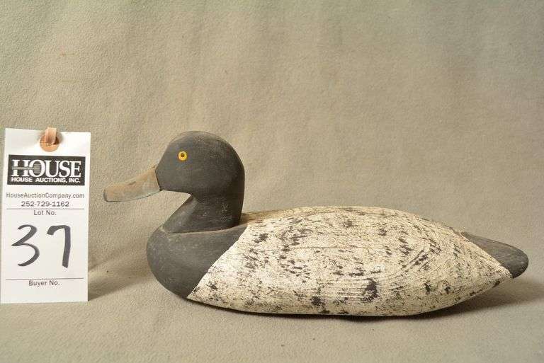 Scaup Drake, Maryland head by Eldon Willis image