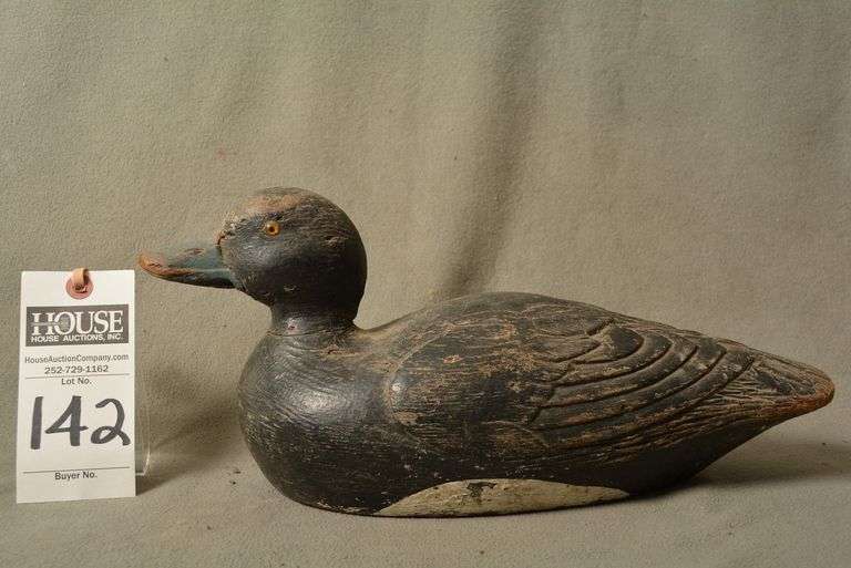 Scaup Drake by Robert Paquette, Verdun, Quebec image