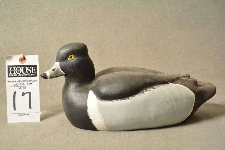 Ringneck Drake by  Lionel Gaskill image