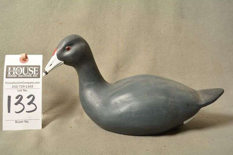 Coot by Curt Salter image