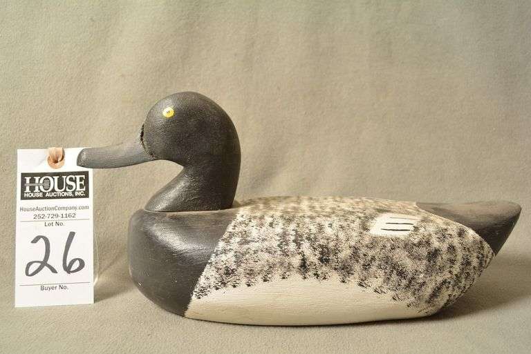 Scaup Drake by Roy Willis image