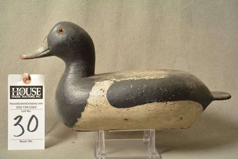 Scaup Drake by George Barto image