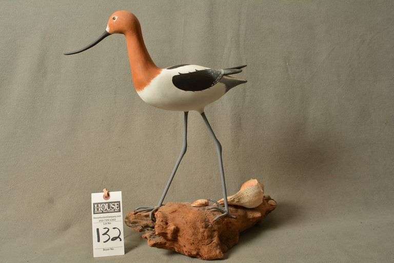 Americasn Avocet Shorebird on Driftwood by Homer Fulcher image