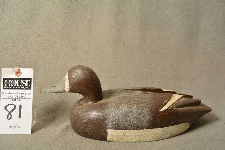 Scaup Hen by RC Preele image
