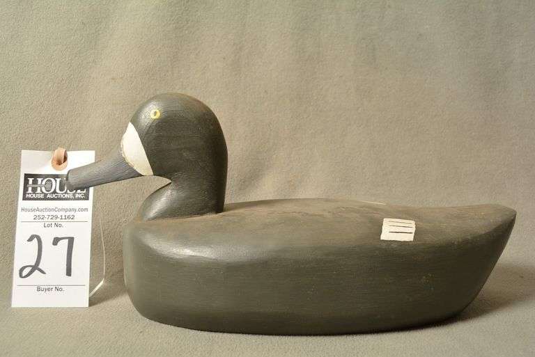 Scaup Hen by Roy Willis image