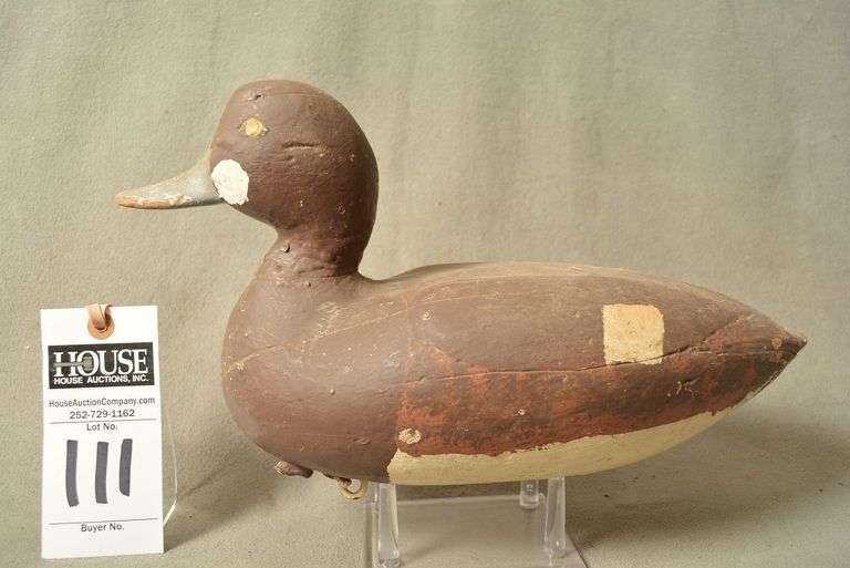 Scaup Hen by James Look West image