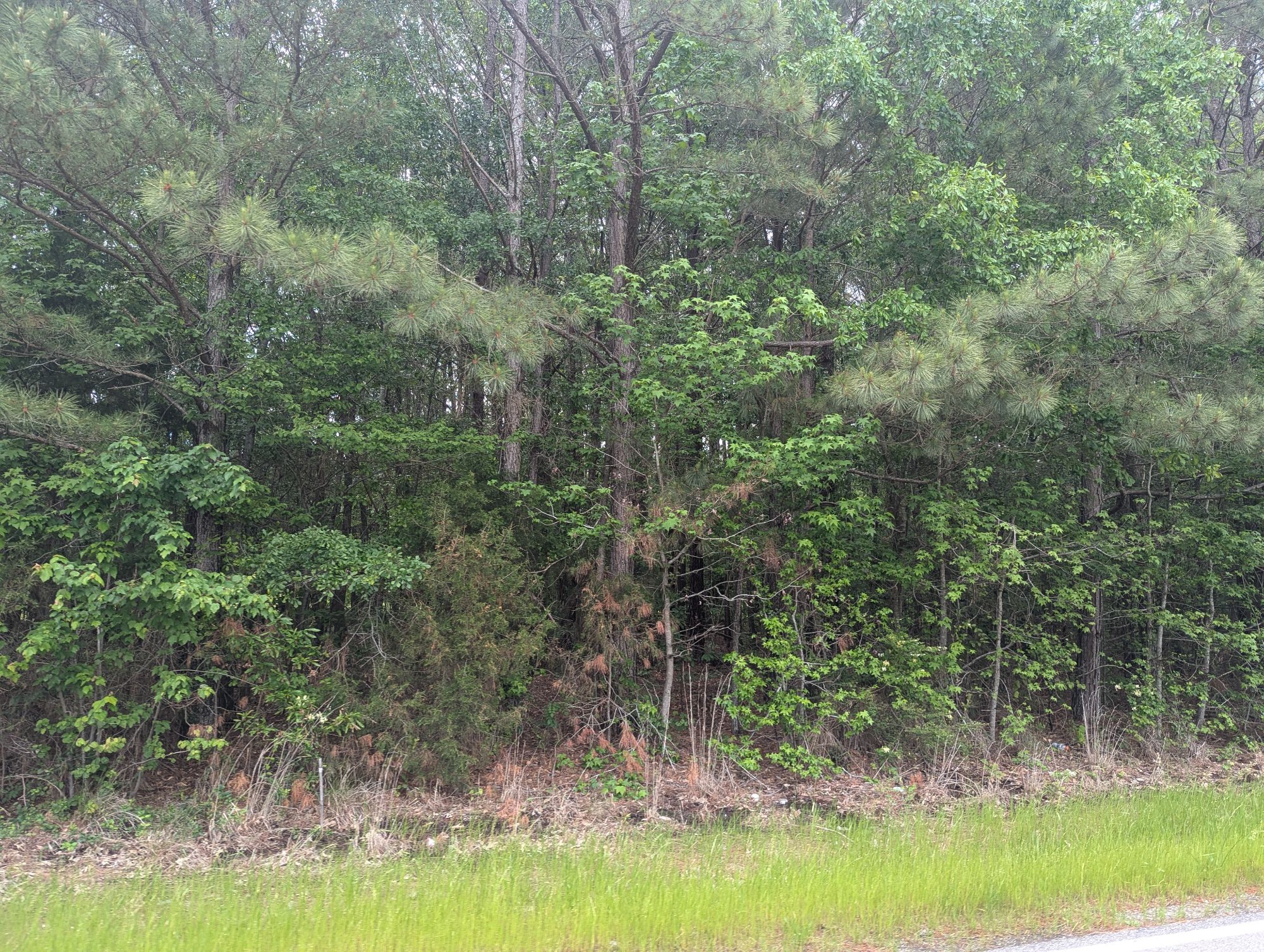 Lot image 4