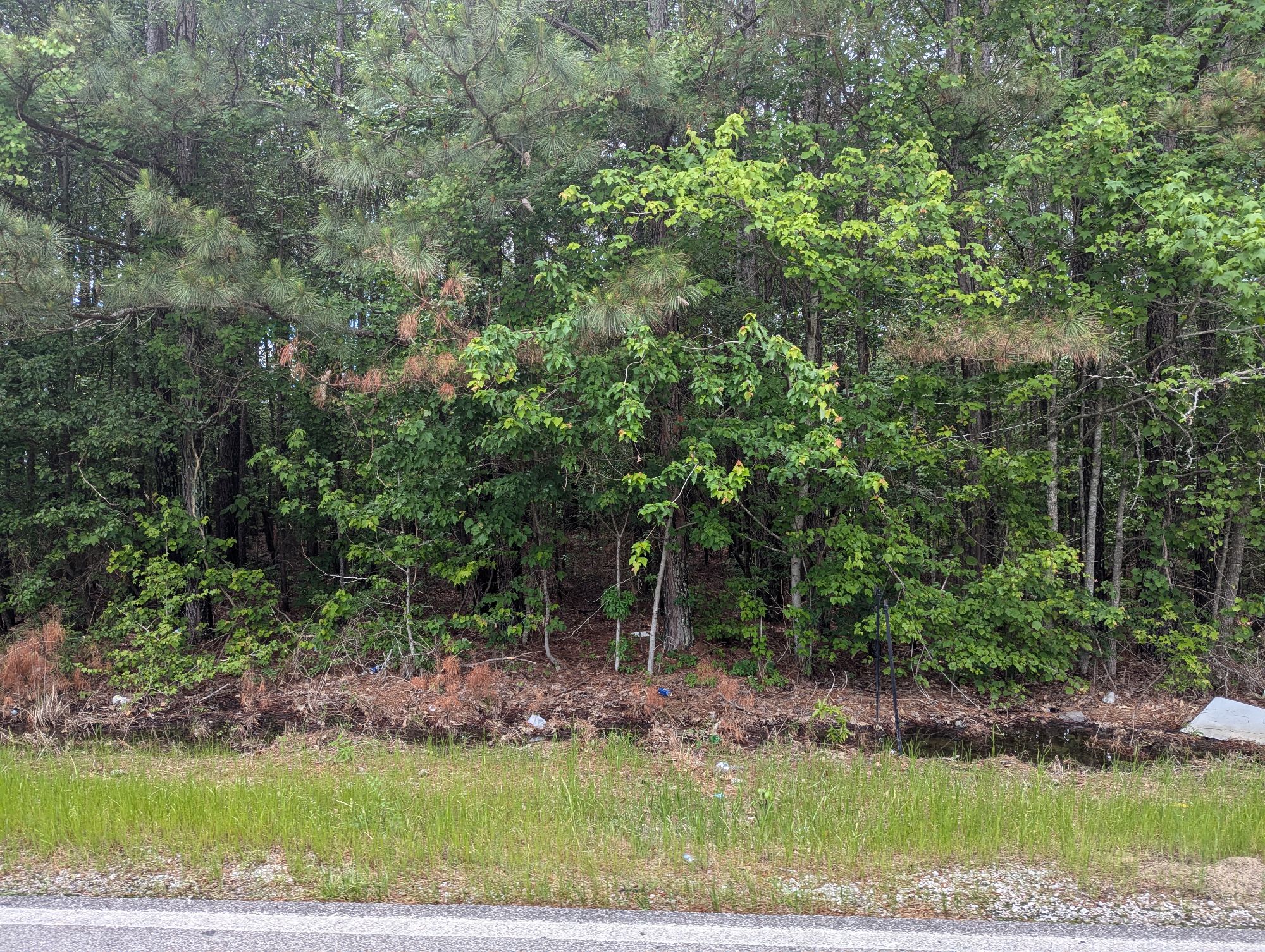 Lot image 1