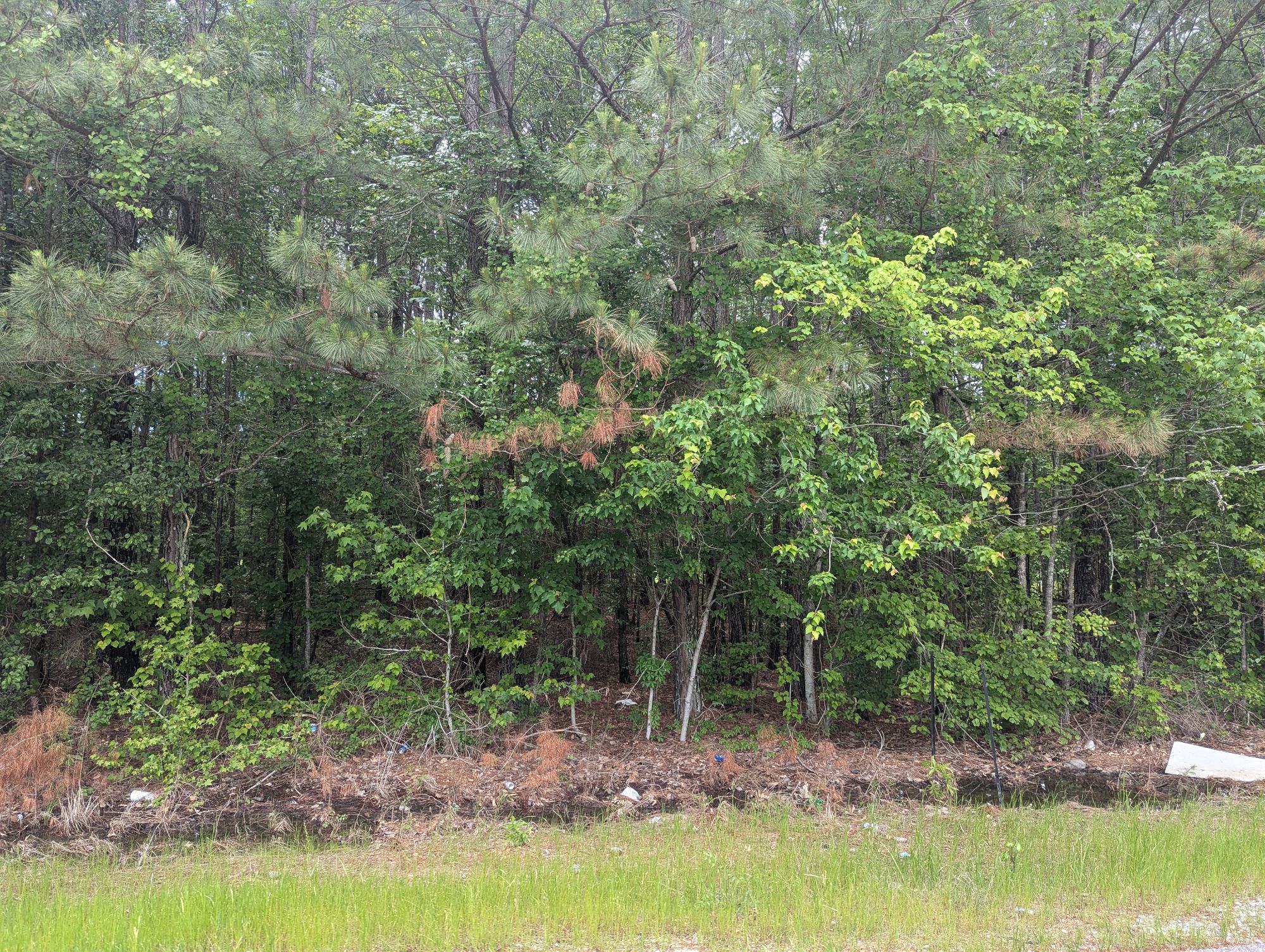 Lot image 6