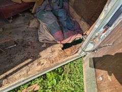 Cargo Trailer