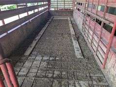 Heavy Duty Cattle Trailer